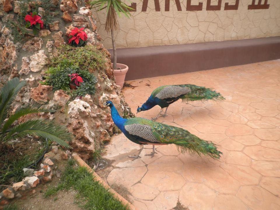 Camping Carlos III La Carlota Luaran gambar