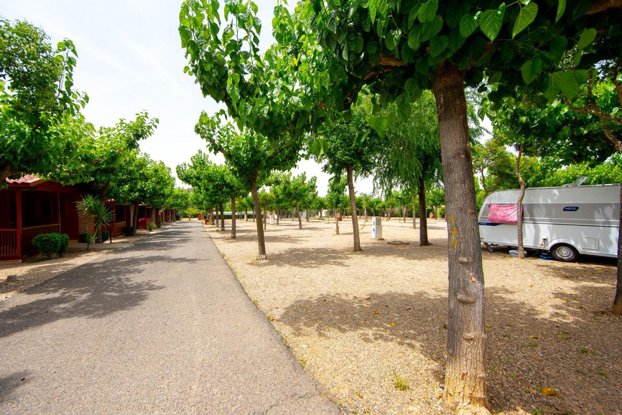 Camping Carlos III La Carlota Luaran gambar